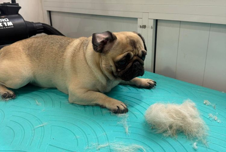 place-image-gallery-7