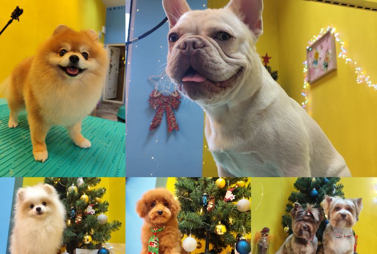 place-image-gallery-7