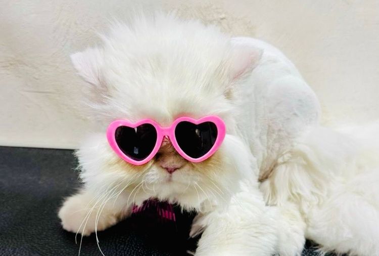 place-image-gallery-7