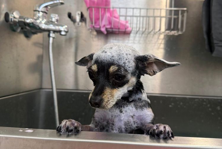 place-image-gallery-8