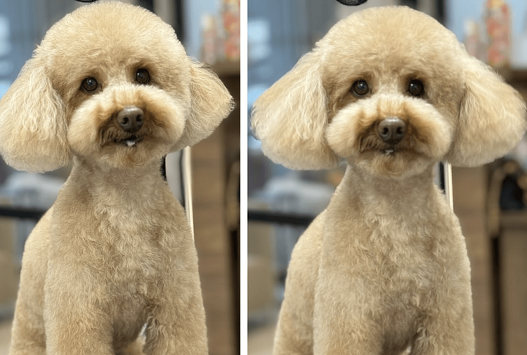 place-image-gallery-8