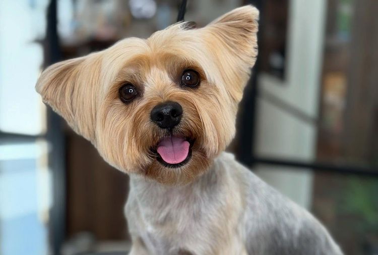 place-image-gallery-8