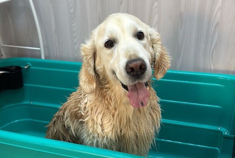 place-image-gallery-7