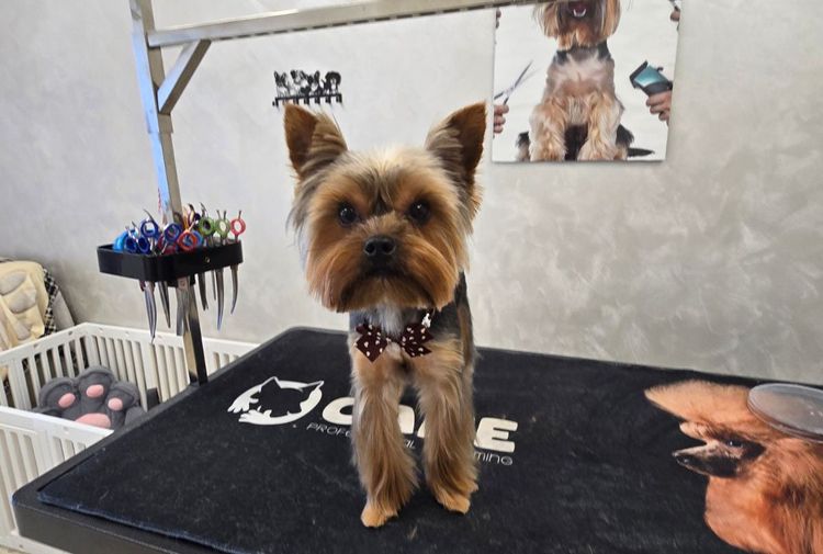 place-image-gallery-8