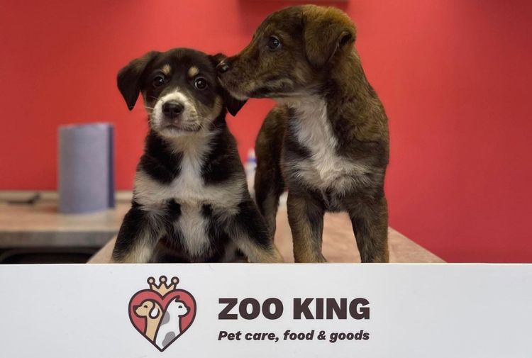 place-image-gallery-8