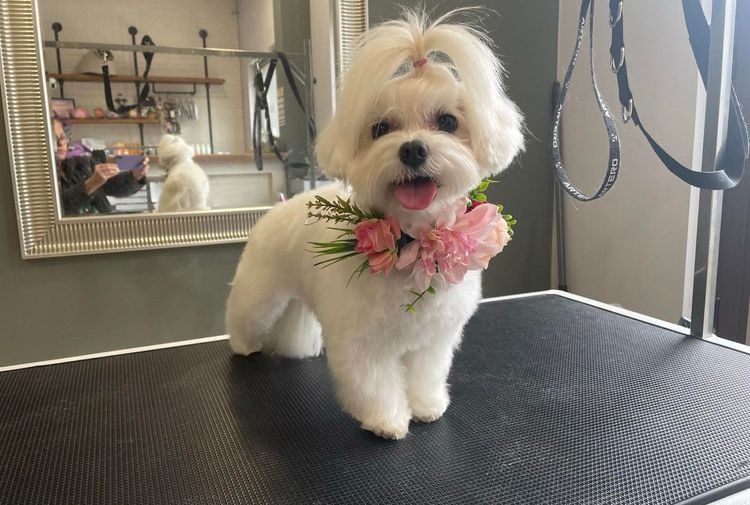 place-image-gallery-8