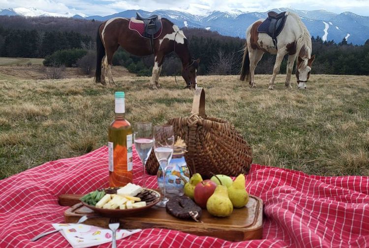 place-image-gallery-8