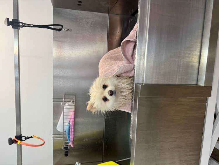 place-image-gallery-8