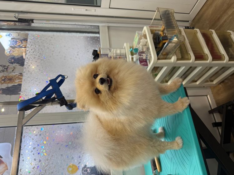 place-image-gallery-7