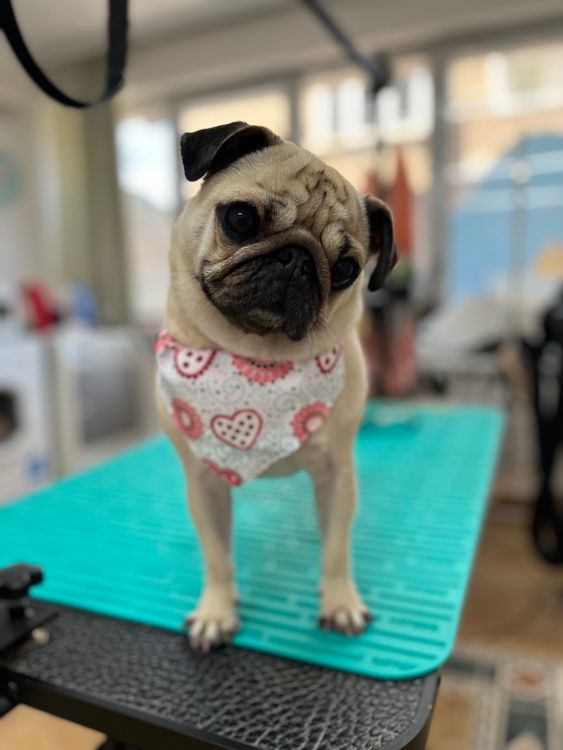 place-image-gallery-11