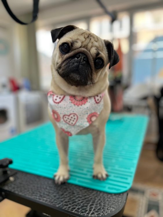 place-image-gallery-12