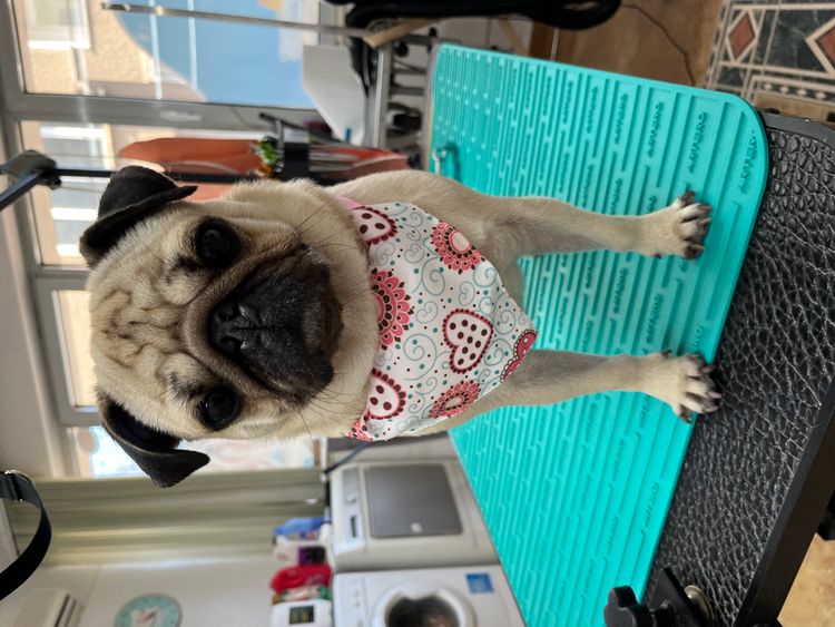 place-image-gallery-13