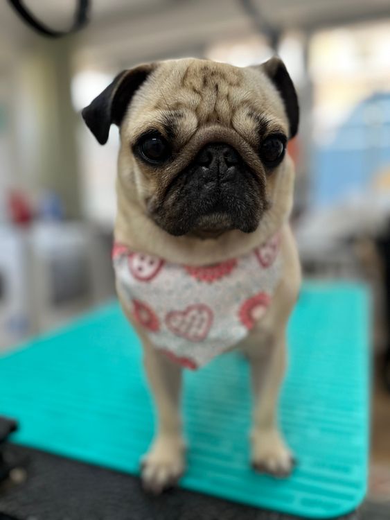 place-image-gallery-10