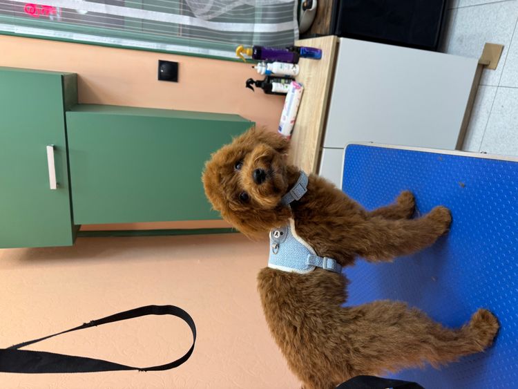 place-image-gallery-19