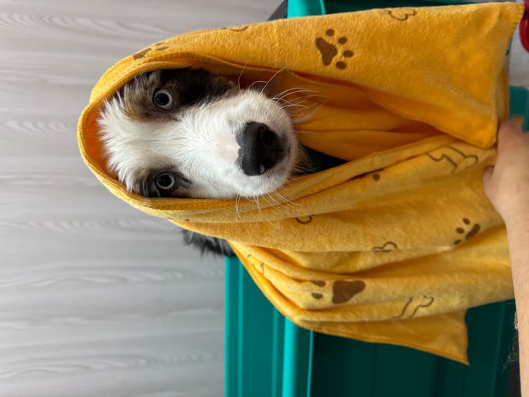 place-image-gallery-18