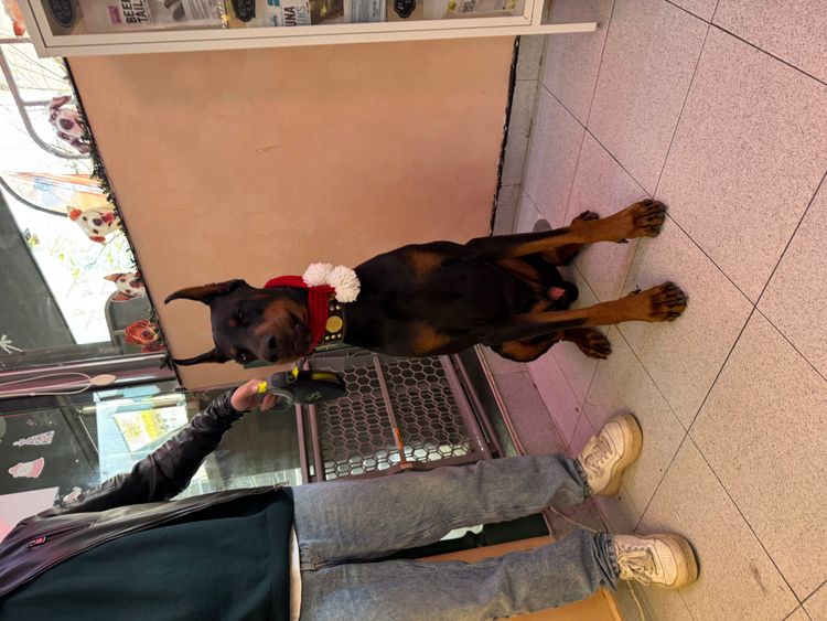 place-image-gallery-17