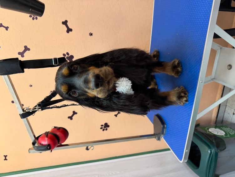 place-image-gallery-16