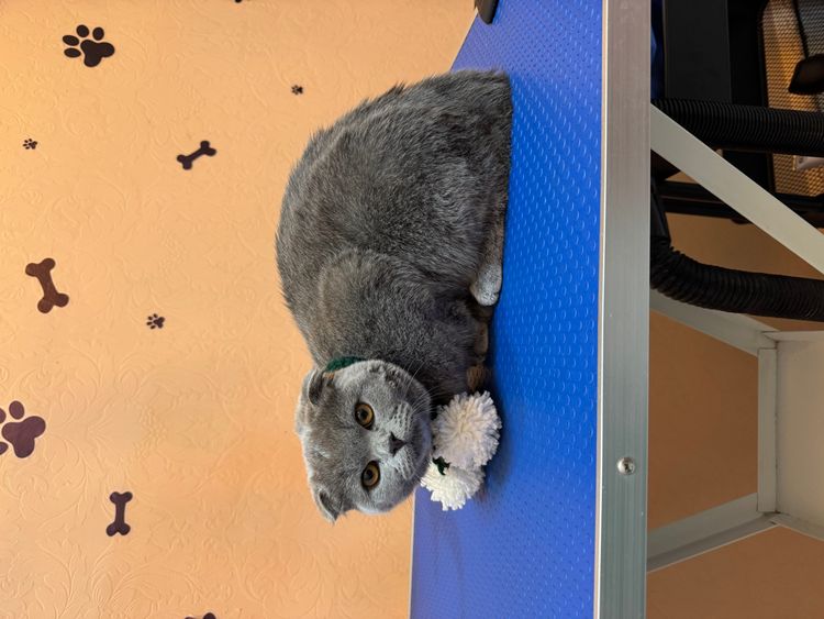 place-image-gallery-15