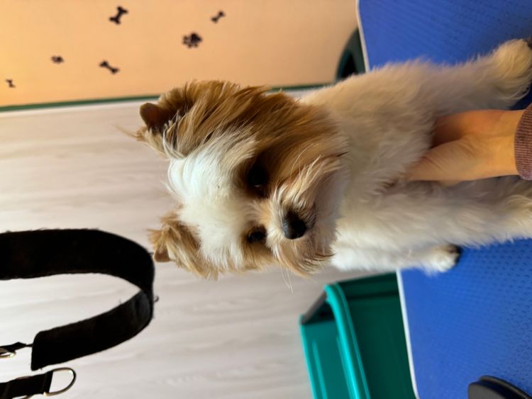 place-image-gallery-14