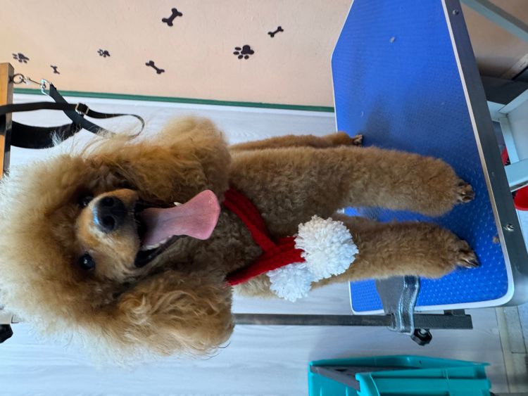 place-image-gallery-13