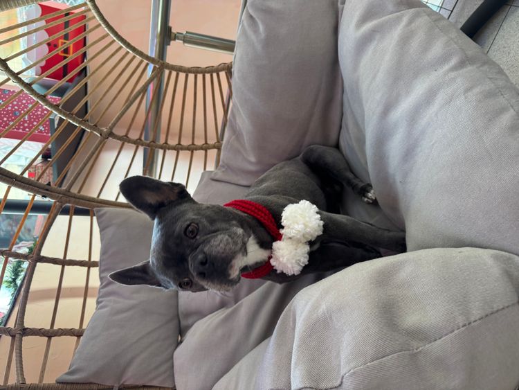 place-image-gallery-12