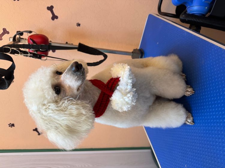 place-image-gallery-11