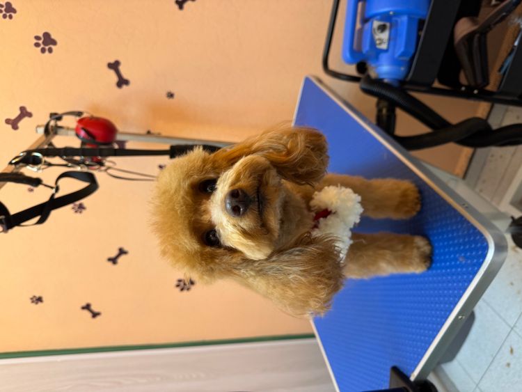 place-image-gallery-10