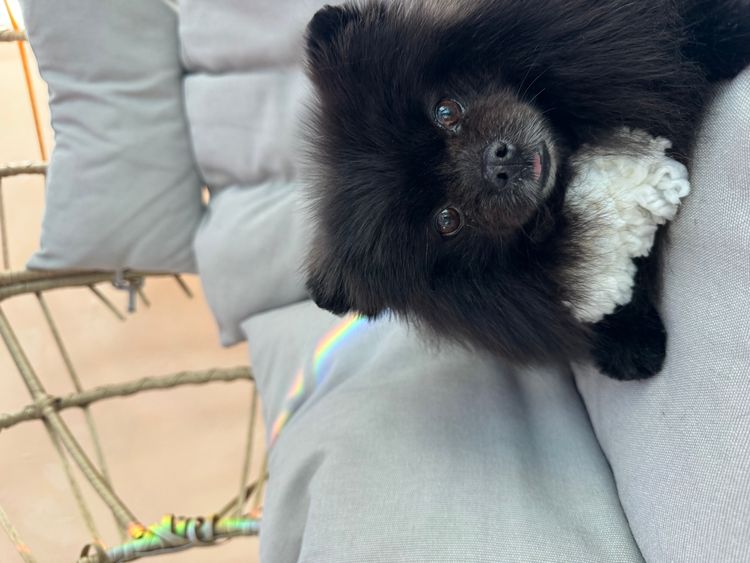 place-image-gallery-9