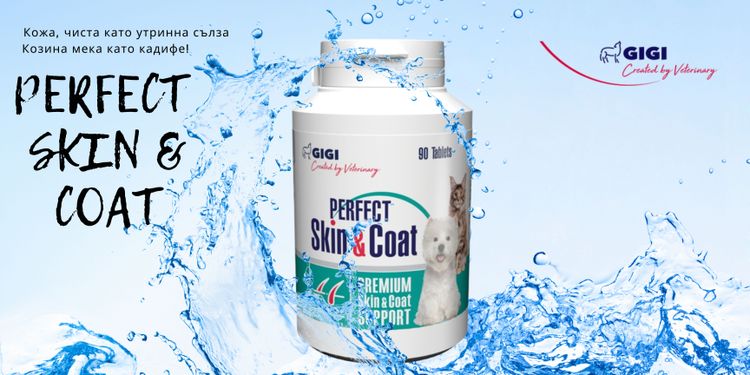 place-image-gallery-3