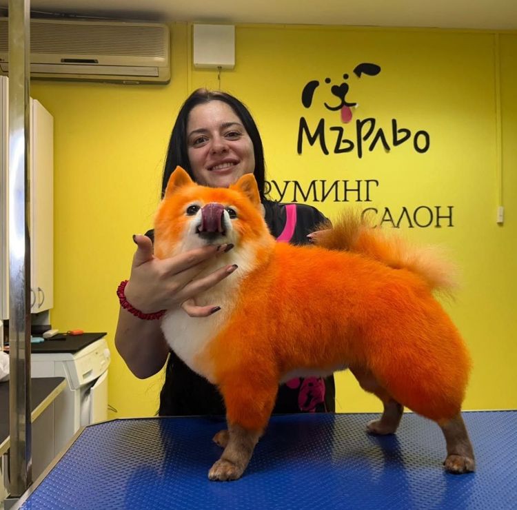 place-image-gallery-5