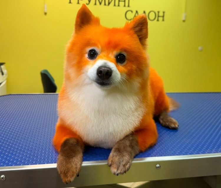 place-image-gallery-6