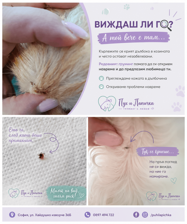 place-image-gallery-8