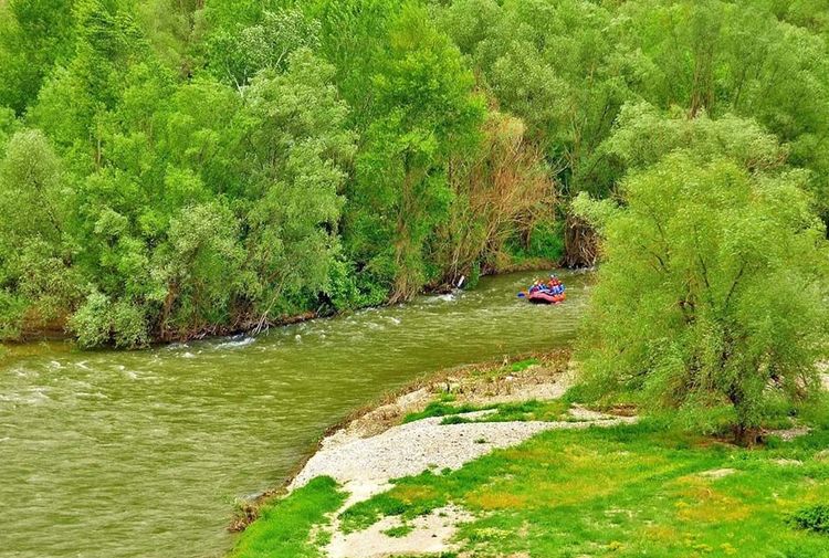 place-image-gallery-1