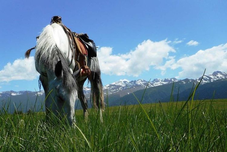 place-image-gallery-4