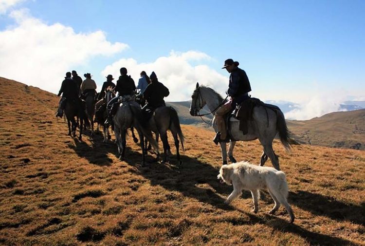 place-image-gallery-5