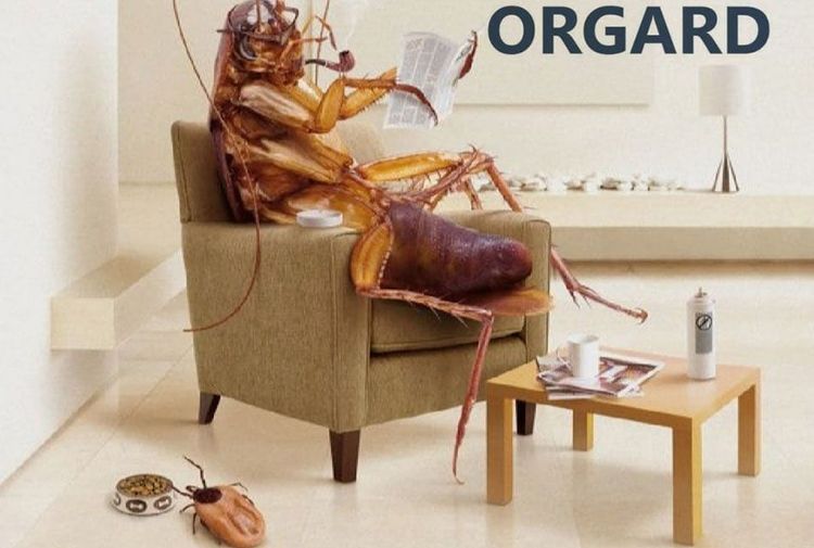place-image-gallery-4
