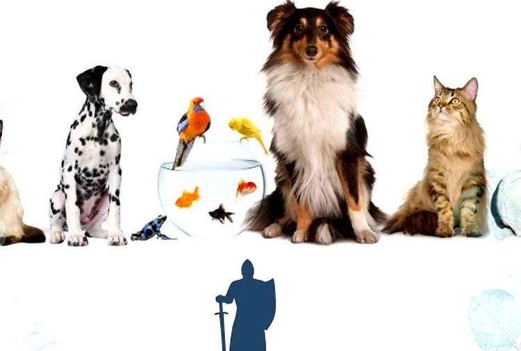 place-image-gallery-2