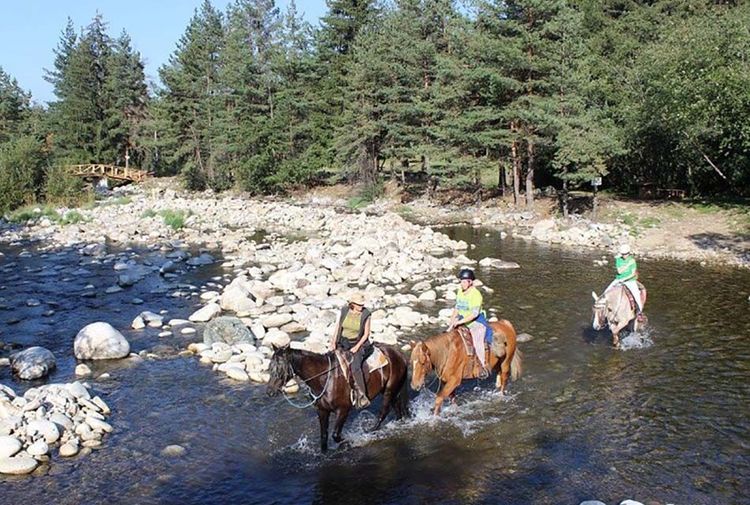 place-image-gallery-3