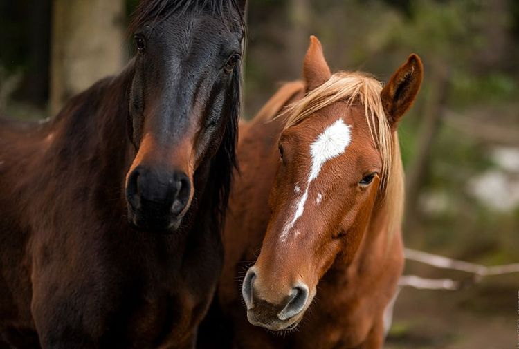 place-image-gallery-1