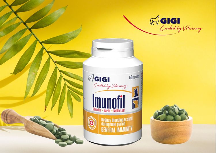 place-image-gallery-2