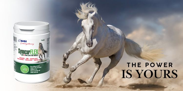 place-image-gallery-1