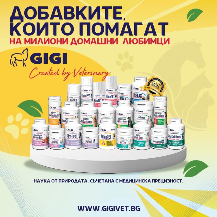 place-image-gallery-4