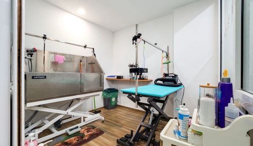 gruming-salon-shastlivi-lapi-sofiya-banishora-gallery-image-main