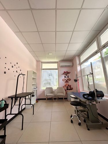 crazy-dog-mom-grooming-salon-sofiya-slaviya-gallery-image-main