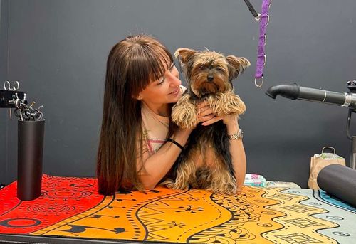 pet-valley-gruming-sofiya-vitosha-gallery-image-main