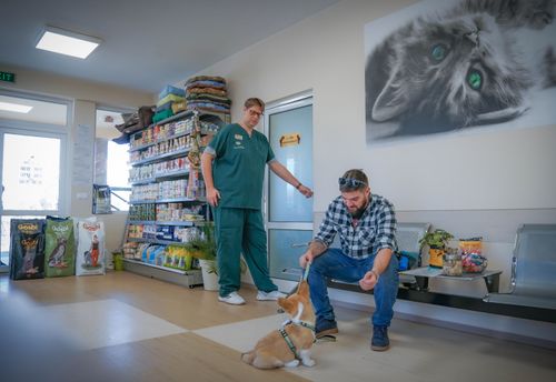 veterinarna-klinika-i-hotel-new-vita-sofiya-obelya-2-gallery-image-main