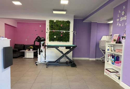 topgrooming-sofiya-iztok-gallery-image-main