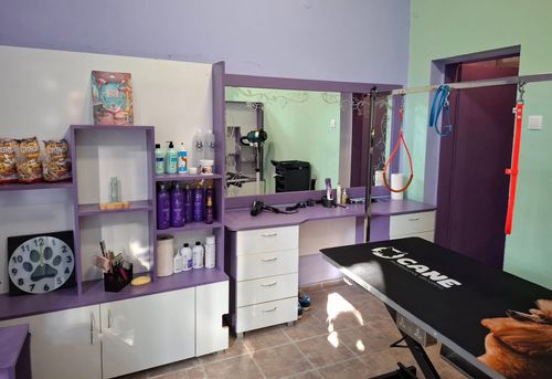 puh-i-lapichka-gruming-salon-sofiya-slaviya-gallery-image-main