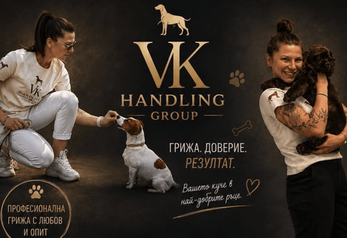 uchilishe-i-hotel-za-kucheta-vk-handling-group-sofiya-lozenec-gallery-image-main