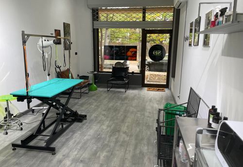 gruming-studio-sleek-dogs-sofiya-manastirski-livadi-gallery-image-main